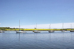 A serene scene of yachts on swinging moorings